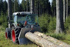 Troliu forestier Troliu forestier
